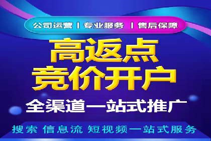 案例解读：竞价广告创意策划